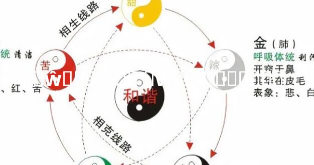 �ŵ���·ͼ�� �ŵ���·������